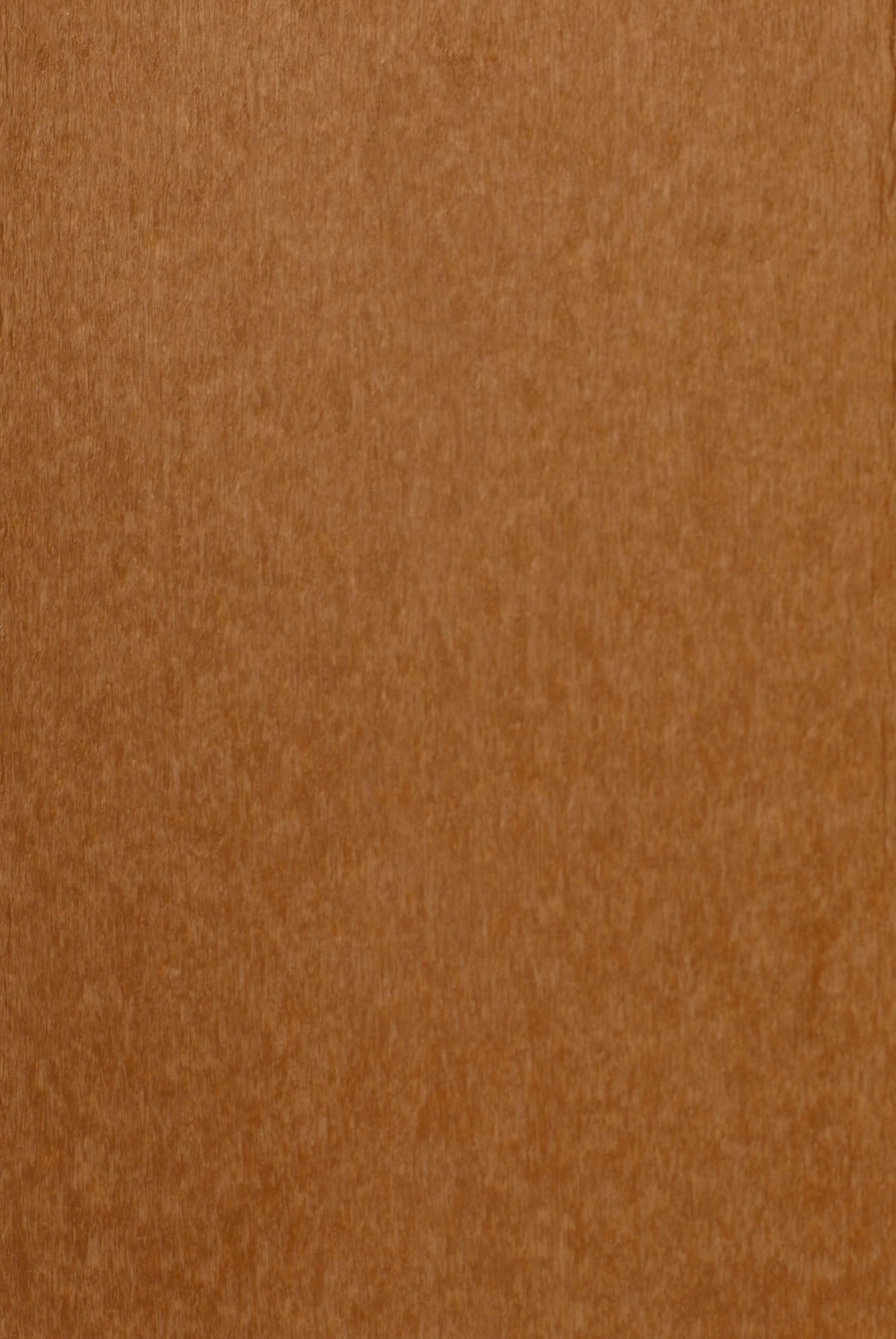 Outdoor | Poly Bird Feeders & Houses | Wren Church House