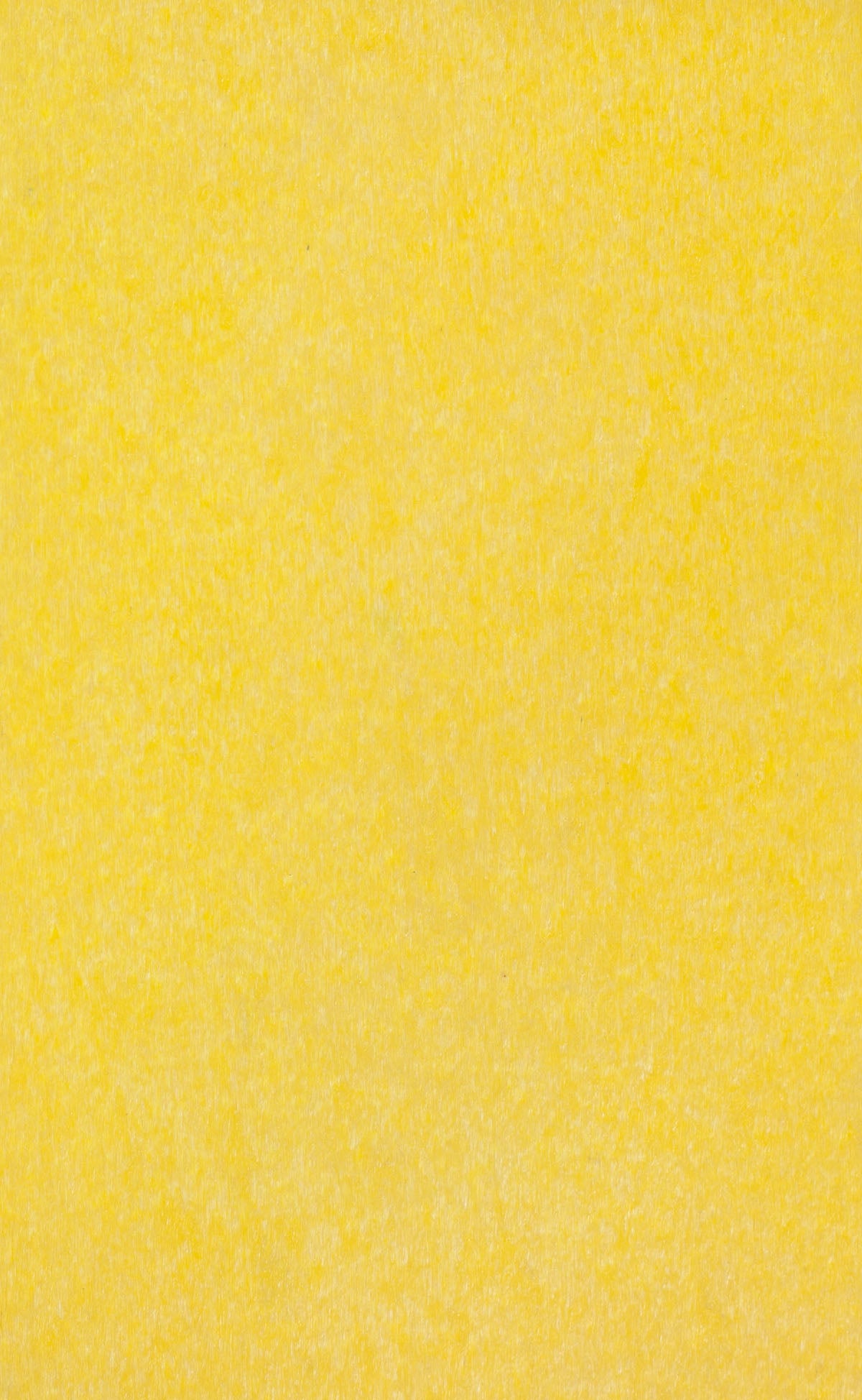 Outdoor | Poly Bird Feeders & Houses | Wren Church House