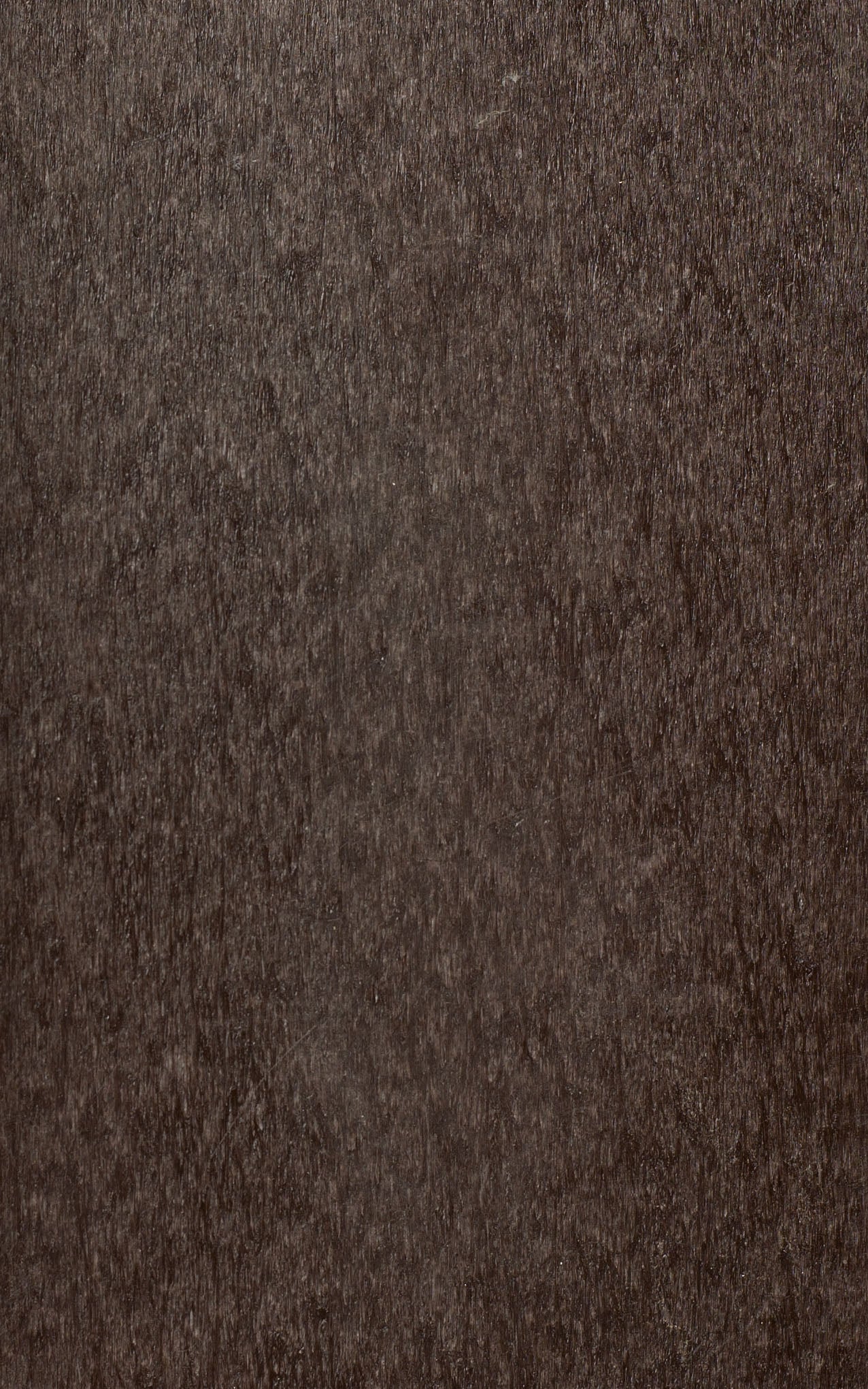 Outdoor | Poly Bird Feeders & Houses | Wren Church House