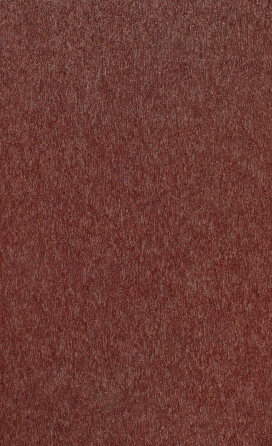 Outdoor | Poly Bird Feeders & Houses | Swing Feeder