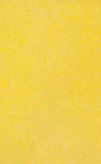 Outdoor | Poly Bird Feeders & Houses | Swing Feeder