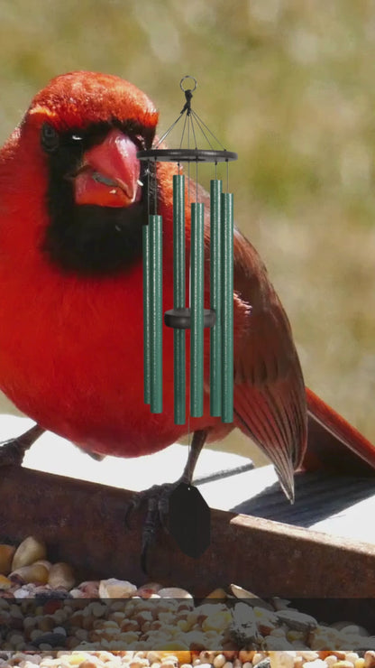 Wind Chimes | Rustic Rhythms | Song Bird