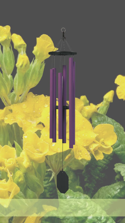 Wind Chimes | Enchanting Flowers Series | Evening Primrose